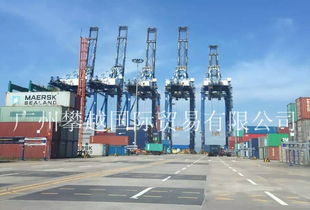 物流洗牌在即 黃埔海關破獲2億元快件走私大案，銷售代理鏈條浮出水面